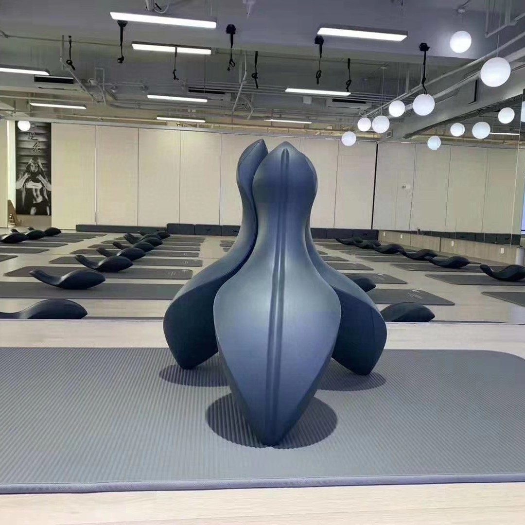 Spine Spoon Corrector Back Cor - Pilates Yoga Joint review and price